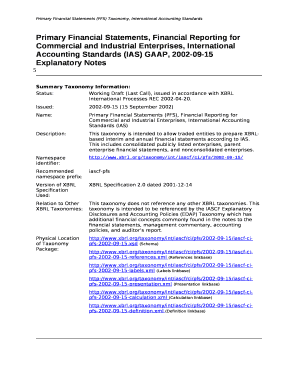 Primary Financial Statements, Financial Reporting for Commercial and Industrial Enterprises, International Accounting Standards (IAS) GAAP, 2002-09-15