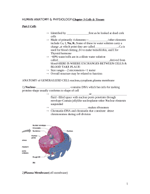 HUMAN ANATOMY & PHYSIOLOGY/Chapter 3-Cells & Tissues