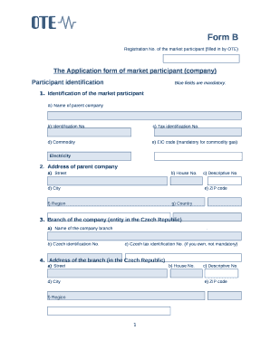 Of the market participant (filled in by OTE)