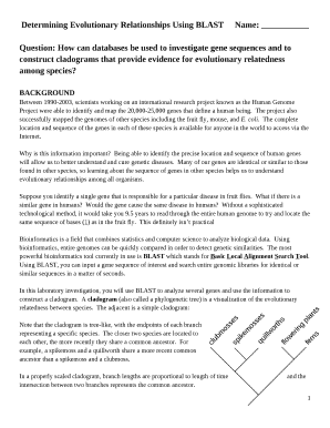 Determining Evolutionary Relationships Using BLASTName: