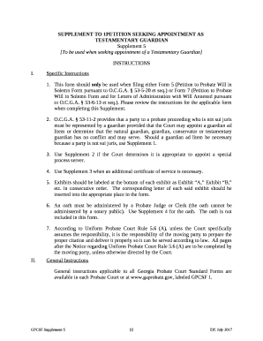 SUPPLEMENT TO PETITION SEEKING APPOINTMENT AS