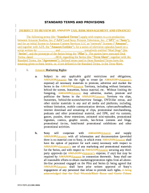 STANDARD TERMS AND PROVISIONS