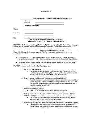 Fillable Online COUNTY CHILD SUPPORT ENFORCEMENT AGENCY Fax Email Print ...