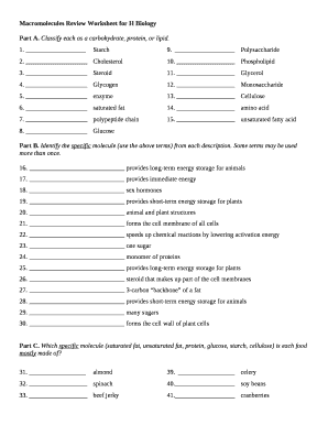 Macromolecules Review Worksheet For H Biology - Fill and Sign Printable  Template Online