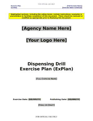 Highlighted sections, including the yellow boxes, contain instructions, examples or placeholders to facilitate completion of this document