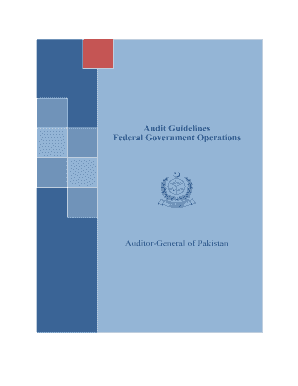 GUIDELINES FOR THE AUDIT OF