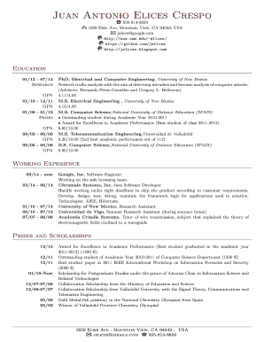 Form preview