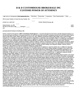 D & D CUSTOMHOUSE BROKERAGE INC