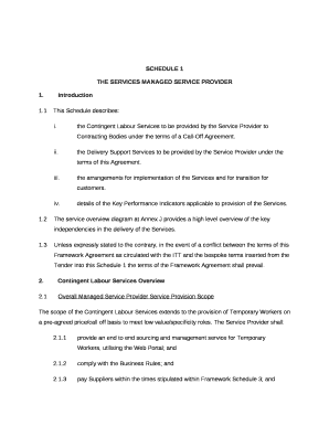 THE SERVICES MANAGED SERVICE PROVIDER