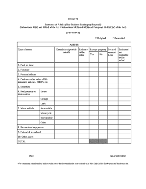 personal statement of affairs template