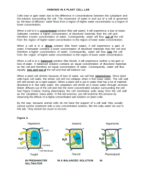 OSMOSIS IN A PLANT CELL LAB