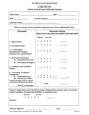 Youth Level of Care Utilization System