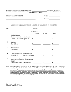 ACCOUNTING (GUARDIANSHIP REPORT) OF GUARDIAN OF PROPERTY