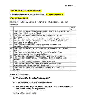 Director Performance Review -