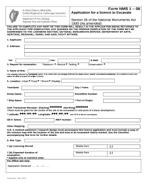 Form NMS 1 06