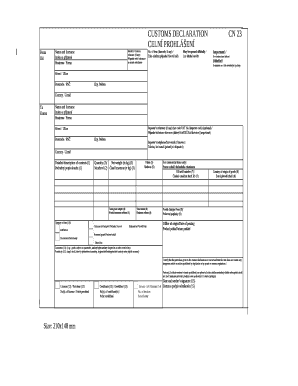 Form preview picture