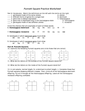 Punnett Square Practice Worksheet