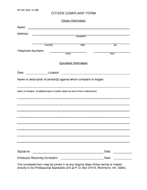 Form preview