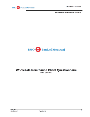 Wholesale Remittance Client Questionnaire template