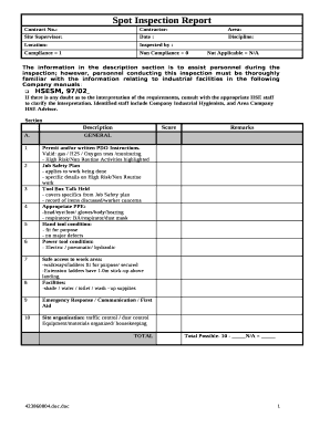 spot verification report format