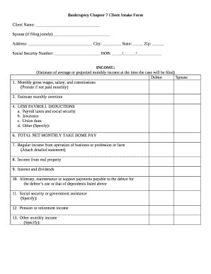 Bankruptcy Chapter 7 Client Intake template