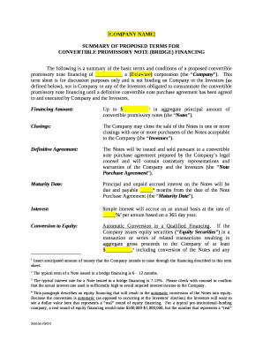 COMPANY NAME SUMMARY OF PROPOSED TERMS FOR ...