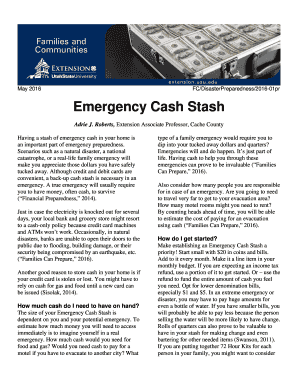 Fillable Online Emergency Cash Stash Fax Email Print - pdfFiller