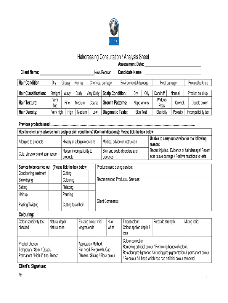 Hairdressing Consultation Analysis Sheet Preview on Page 1