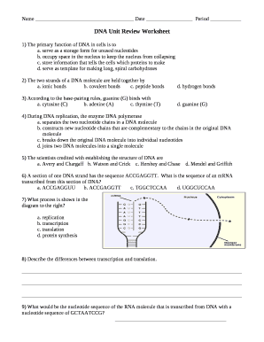 dna unit review worksheet Doc Template pdfFiller