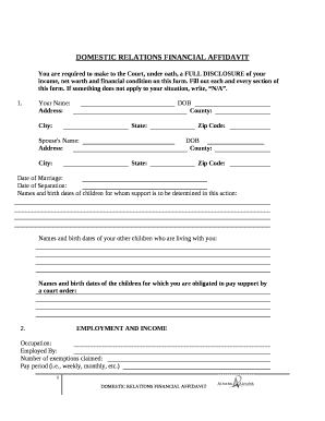 income, net worth and financial condition on this form