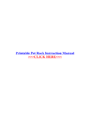 Printable Pet Rock Care Instructions