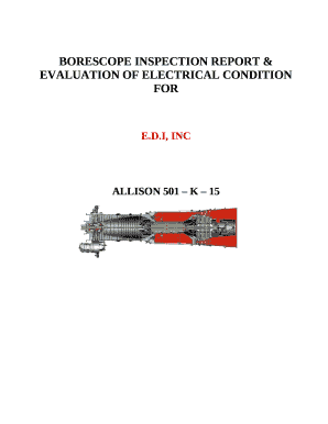 borescope report