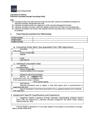 Individual Consultant through Consulting Entity1