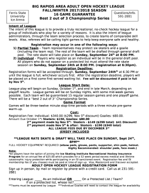 BIG RAPIDS AREA ADULT OPEN HOCKEY LEAGUE