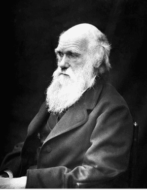 Charles darwin game of survival student sheet