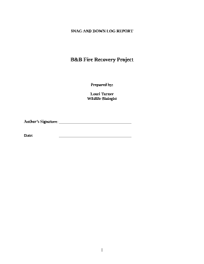 snag report template