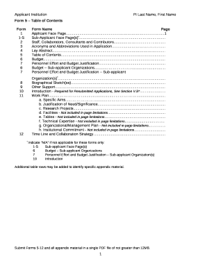 Form preview picture