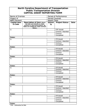 CAPITAL GRANT REPORTING FORM
