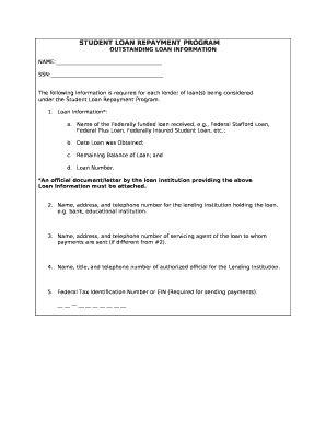 OUTSTANDING LOAN INFORMATION