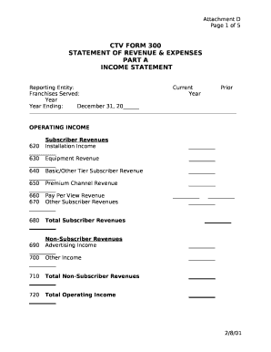 CTV FORM 300