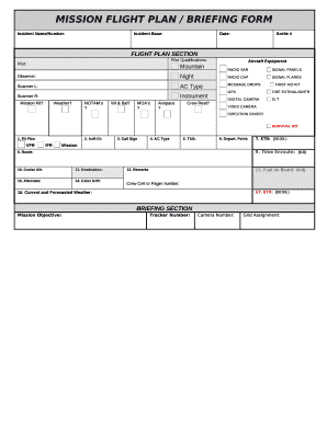 Mission flight plan / briefing form