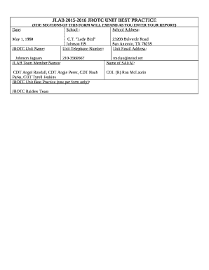 (THE SECTIONS OF THIS FORM WILL EXPAND AS YOU ENTER YOUR REPORT)