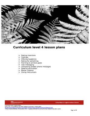 Curriculum level 4 lesson plans