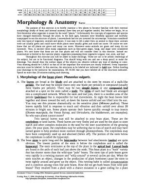 Morphology & Anatomy Name