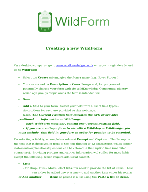 Form preview