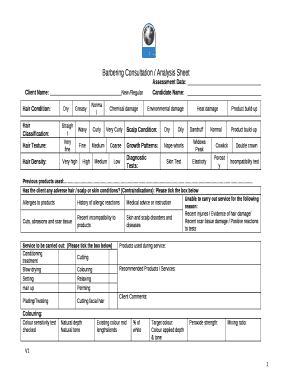 Hair Consultation Form Pdf - Page 3 | pdfFiller