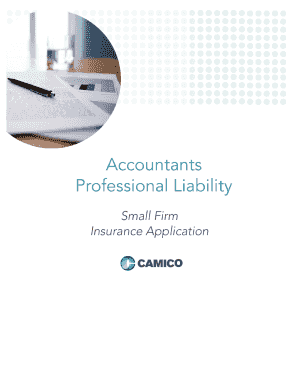 SMALL FIRM ACCOUNTANTS PROFESSIONAL LIABILITY