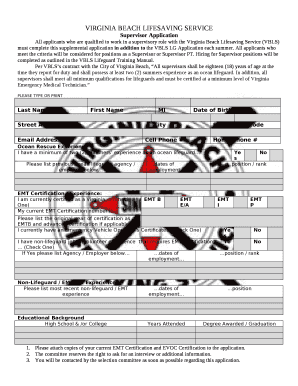 Mission Statement - Virginia Beach Lifesaving Service