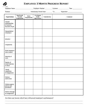 Employee 3 Month Progress Report
