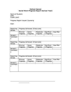 Social work progress report